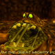 Illustration for article titled The Weirdest-Looking Video Game Bosses Of All Time
